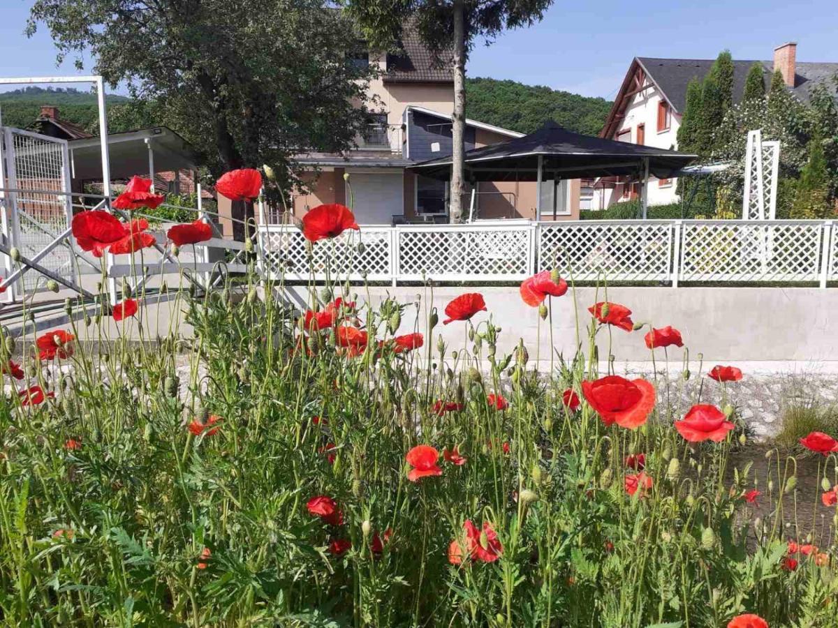 Riverside Apartman**** Miskolc Exterior photo