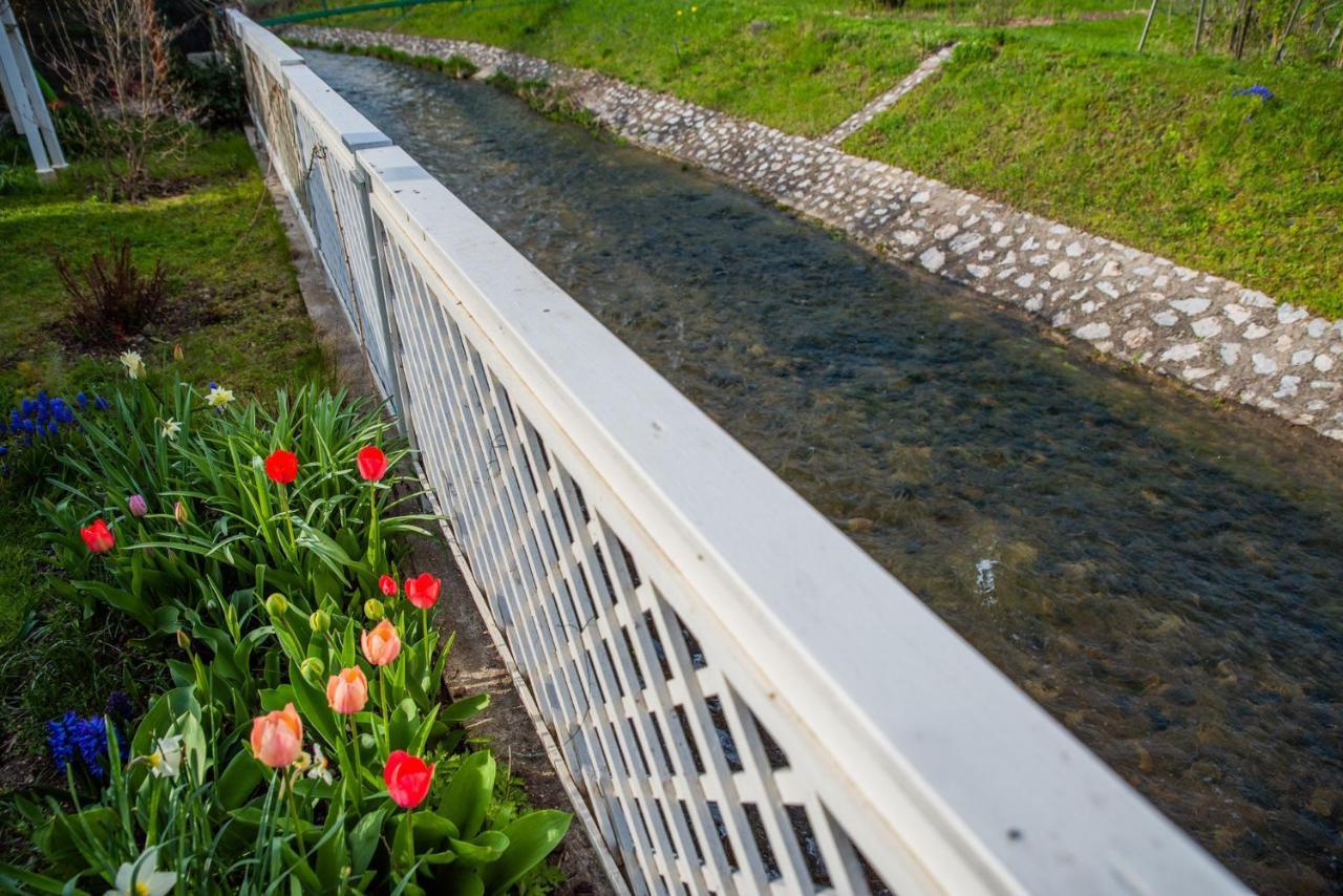 Riverside Apartman**** Miskolc Exterior photo